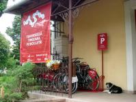 Imagine atasata: Biciclete UVT - 2013.05.30 - 2.JPG
